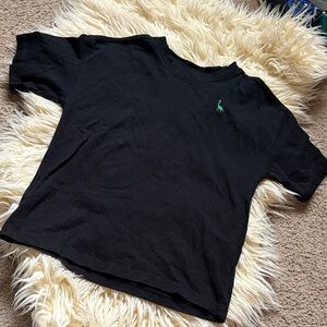 Zara kids dinosaur embroidered tee